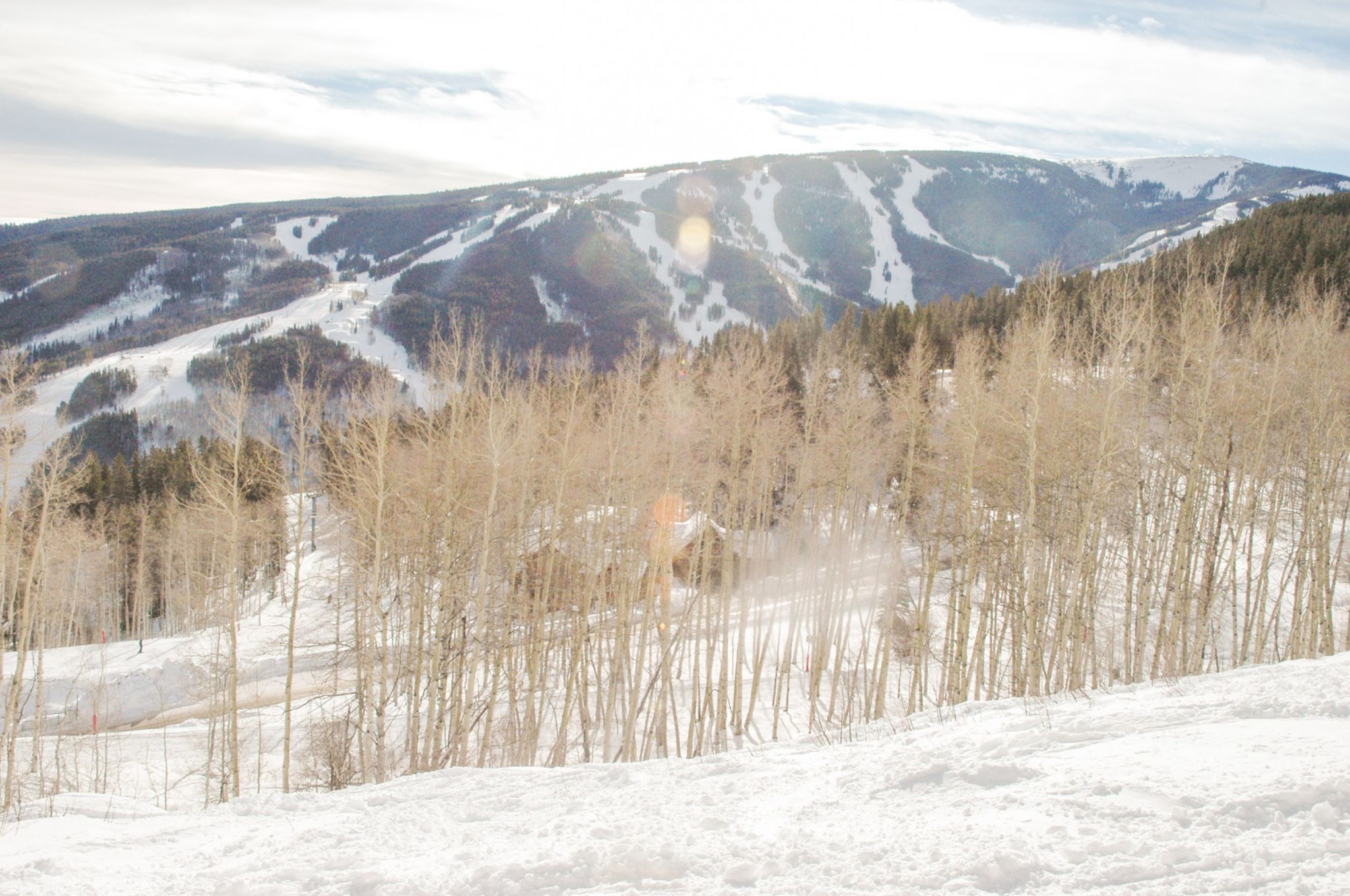 20060114 DSC 6877